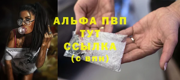 ECSTASY Кукмор