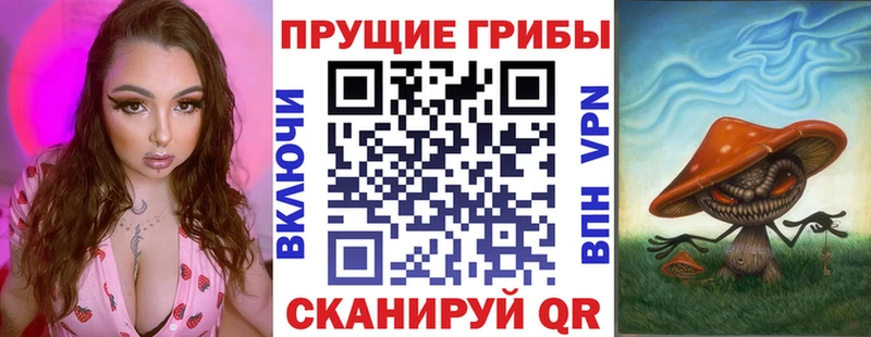 ссылка на мегу маркетплейс  Арзамас  Галлюциногенные грибы Cubensis 